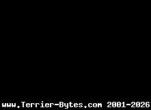 Tranmere Rovers 2-1 Huddersfield Town